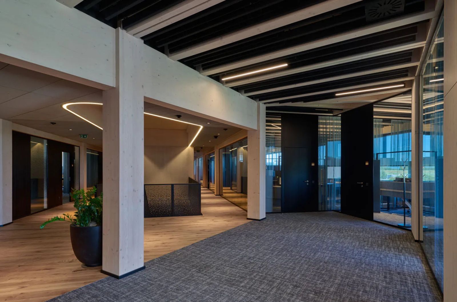 modularni tepisi u kancelarijama